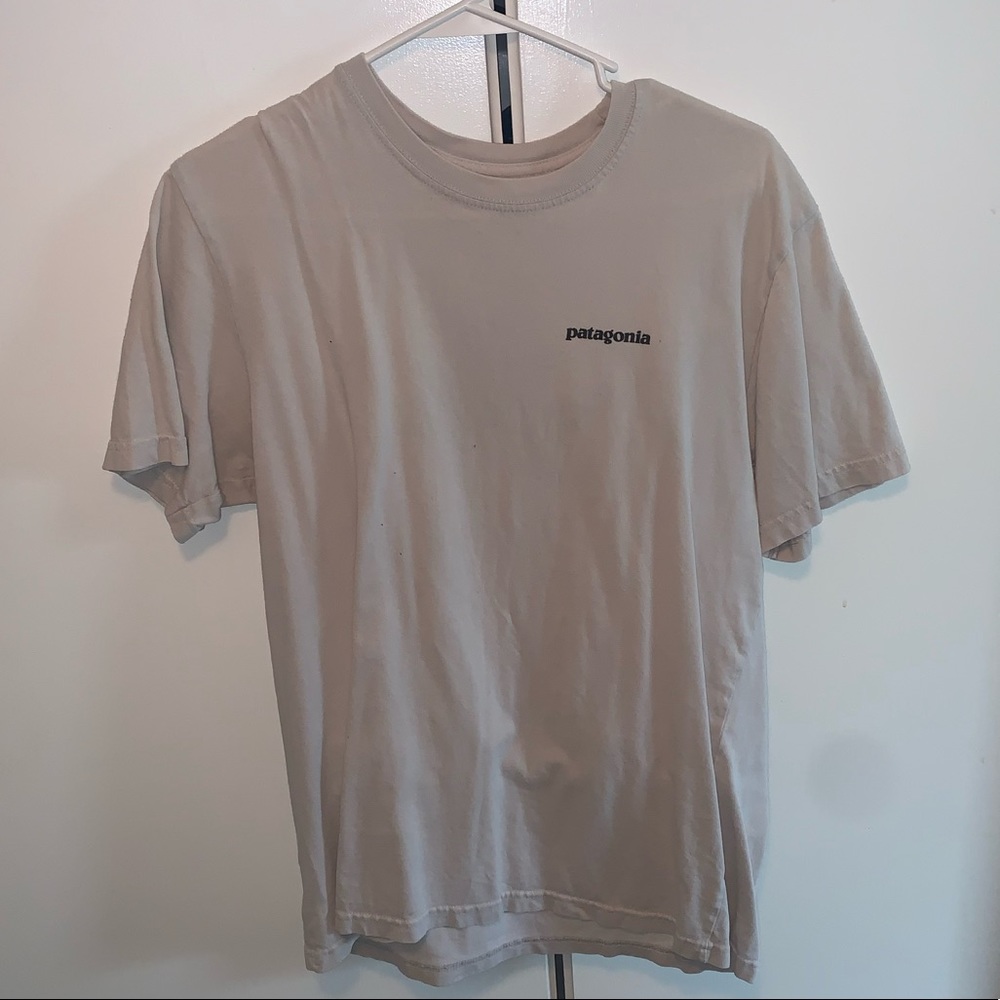 Patagonia tee shirt